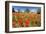 Poppy Field in front of a Country House on the Hills near Orvieto, Province of Terni, Umbria, Italy-null-Framed Art Print