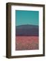 Poppy field in front of the Brocken (peak)-Mandy Stegen-Framed Photographic Print