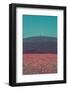 Poppy field in front of the Brocken (peak)-Mandy Stegen-Framed Photographic Print