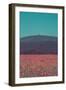 Poppy field in front of the Brocken (peak)-Mandy Stegen-Framed Photographic Print