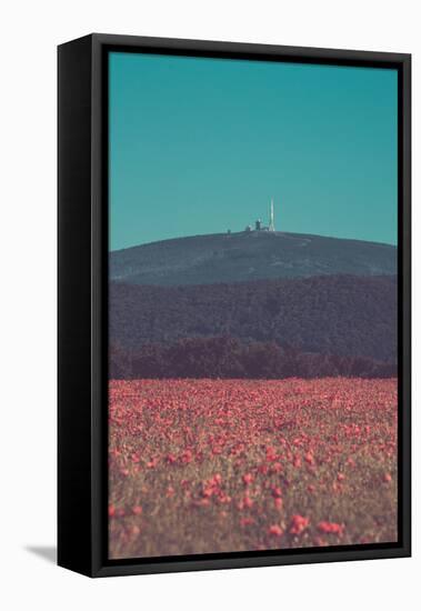 Poppy field in front of the Brocken (peak)-Mandy Stegen-Framed Stretched Canvas