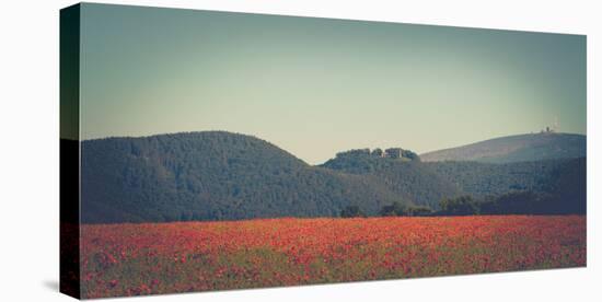 Poppy field in front of the Brocken (peak)-Mandy Stegen-Stretched Canvas