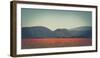 Poppy field in front of the Brocken (peak)-Mandy Stegen-Framed Photographic Print