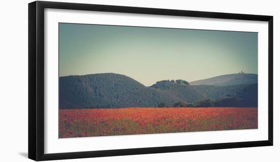 Poppy field in front of the Brocken (peak)-Mandy Stegen-Framed Photographic Print