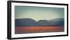 Poppy field in front of the Brocken (peak)-Mandy Stegen-Framed Photographic Print