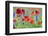 Poppy field, Mount Olive, North Carolina, USA-Lisa S. Engelbrecht-Framed Photographic Print