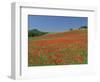 Poppy Field Near Montechiello, Tuscany, Italy-Lee Frost-Framed Photographic Print