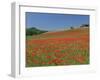 Poppy Field Near Montechiello, Tuscany, Italy-Lee Frost-Framed Photographic Print