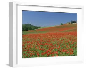 Poppy Field Near Montechiello, Tuscany, Italy-Lee Frost-Framed Photographic Print