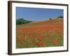 Poppy Field Near Montechiello, Tuscany, Italy-Lee Frost-Framed Photographic Print