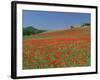 Poppy Field Near Montechiello, Tuscany, Italy-Lee Frost-Framed Photographic Print