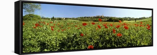 Poppy Field with Town of Pienza in Distance, Tuscany, Italy, Europe-Lee Frost-Framed Stretched Canvas