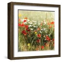 Poppy Field-J^ Cottingham-Framed Art Print