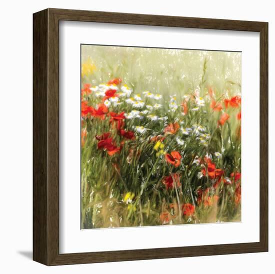 Poppy Field-J^ Cottingham-Framed Art Print