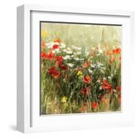 Poppy Field-J^ Cottingham-Framed Art Print