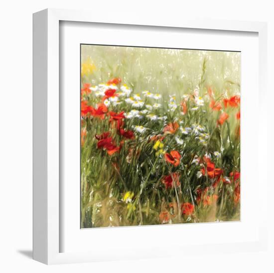 Poppy Field-J^ Cottingham-Framed Art Print