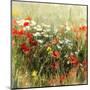 Poppy Field-J^ Cottingham-Mounted Art Print