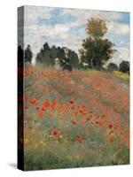 Poppy Field-Claude Monet-Stretched Canvas