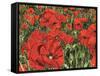 Poppy Field-Kirstie Adamson-Framed Stretched Canvas