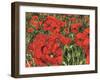 Poppy Field-Kirstie Adamson-Framed Giclee Print