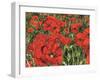 Poppy Field-Kirstie Adamson-Framed Giclee Print