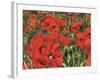 Poppy Field-Kirstie Adamson-Framed Giclee Print