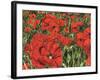 Poppy Field-Kirstie Adamson-Framed Giclee Print