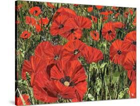 Poppy Field-Kirstie Adamson-Stretched Canvas