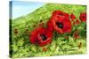 Poppy Field-Tanja Ware-Stretched Canvas