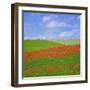 Poppy Field-Cora Niele-Framed Giclee Print