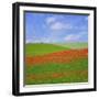 Poppy Field-Cora Niele-Framed Giclee Print