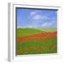 Poppy Field-Cora Niele-Framed Giclee Print