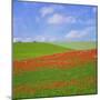 Poppy Field-Cora Niele-Mounted Giclee Print