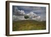 Poppy Field-Barbara Simmons-Framed Photographic Print