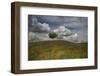 Poppy Field-Barbara Simmons-Framed Photographic Print