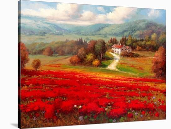 Poppy Fields Afar-Marino-Stretched Canvas