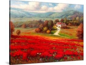 Poppy Fields Afar-Marino-Stretched Canvas