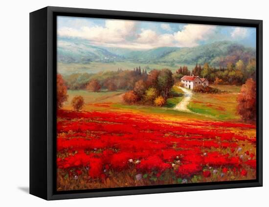 Poppy Fields Afar-Marino-Framed Stretched Canvas