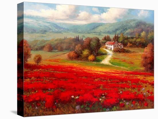 Poppy Fields Afar-Marino-Stretched Canvas