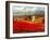 Poppy Fields Afar-Marino-Framed Art Print