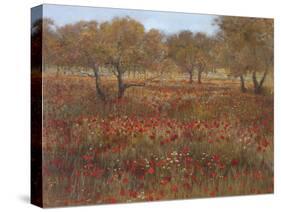 Poppy Fields In Red-Longo-Stretched Canvas