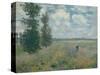 Poppy Fields Near Argenteuil, 1875-Claude Monet-Stretched Canvas