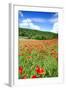 Poppy Fields Near Covarrubias, Castile and Leon, Spain, Europe-Alex Robinson-Framed Photographic Print