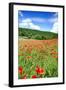 Poppy Fields Near Covarrubias, Castile and Leon, Spain, Europe-Alex Robinson-Framed Photographic Print