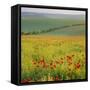 Poppy Fields, South Downs, Sussex, England, UK, Europe-John Miller-Framed Stretched Canvas