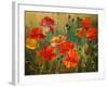 Poppy Fields-Emma Styles-Framed Art Print