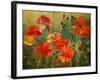 Poppy Fields-Emma Styles-Framed Art Print