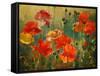 Poppy Fields-Emma Styles-Framed Stretched Canvas