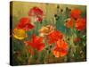 Poppy Fields-Emma Styles-Stretched Canvas