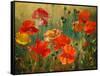 Poppy Fields-Emma Styles-Framed Stretched Canvas